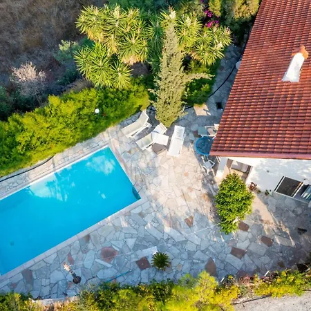 Swimmers' Paradise *