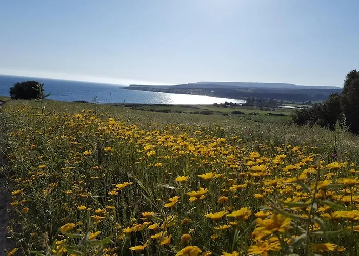 Villa Swimmers' Paradise